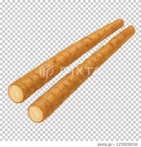 ごぼうの水彩風イラスト（皮付き・断面） 125020016