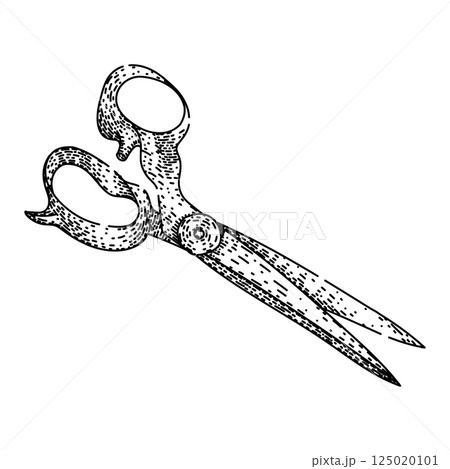 craft scissors sketch hand drawn vector 125020101