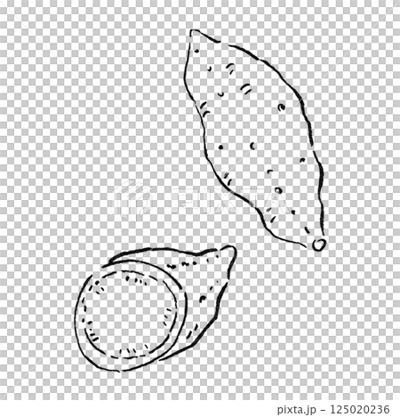 旅遊/四國德島縣特產金時馬鈴薯_地瓜_手繪線條圖，單色插圖 125020236