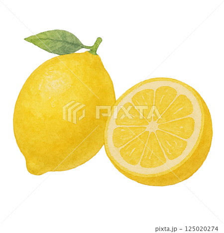 レモンの丸ごとと断面・水彩風イラスト 125020274
