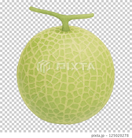 甜瓜水彩插圖（整體、透明背景） 125020278