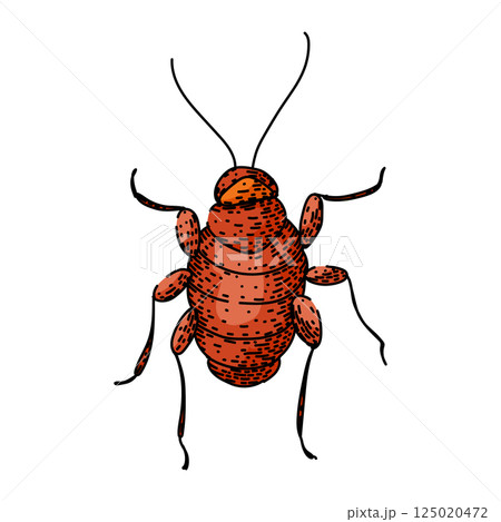 pest cockroach sketch hand drawn vector 125020472