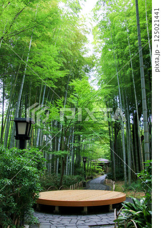 修善寺 修善寺 125021441