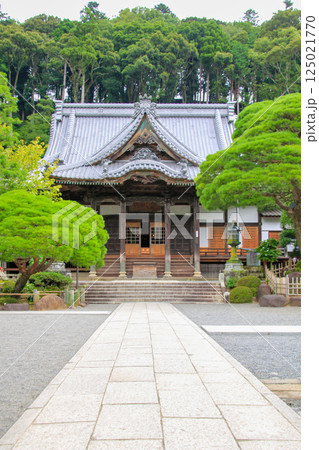 修禅寺 125021770