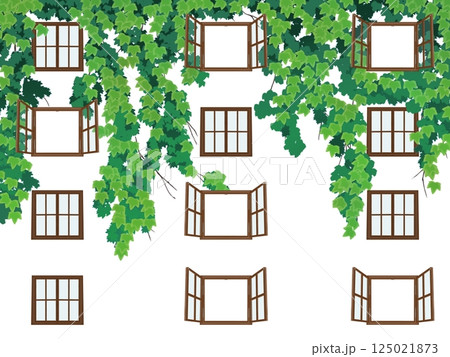 ツタのある窓1/4 125021873