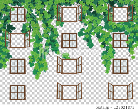 ツタのある窓1/4 125021873
