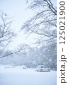 雪の降る山に一台の車 125021900