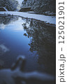 湖面に写る雪景色 125021901