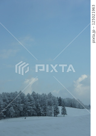 北海道の雪景色 125021963