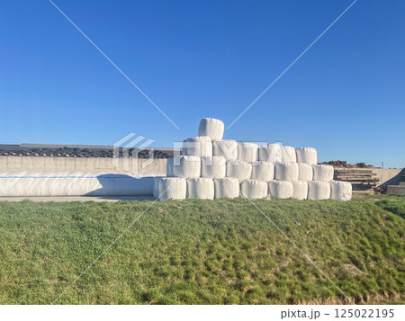 Stacked white silage bales wrapped in plastic on green grass field at rural farm under clear blue sky on sunny day Stacked white silage bales wrapped in plastic on green grass field at rural farm under clear blue sky on sunny day 125022195