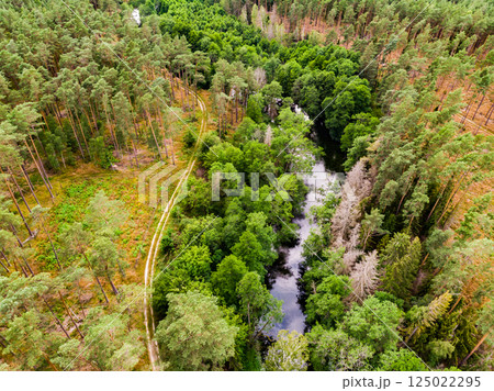 Brda river and Tuchola forest in Poland. Aerial view 125022295