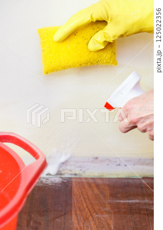 Person washing mold out of wall 125022356
