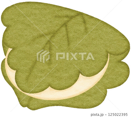 Kashiwa Mochi illustration Kashiwa Mochi illustration 125022395