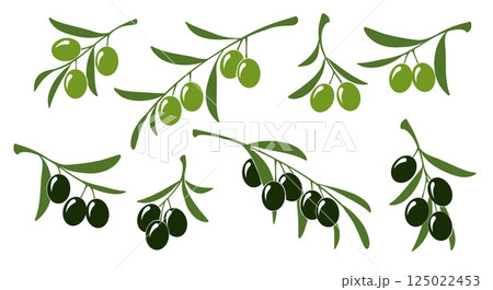 Green and black olives branch Green and black olives branch 125022453