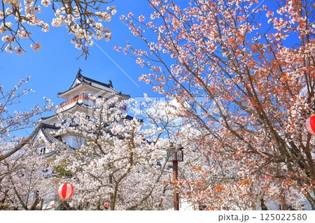 【佐賀県】晴天の唐津城天守閣と満開の桜 【佐賀県】晴天の唐津城天守閣と満開の桜 125022580