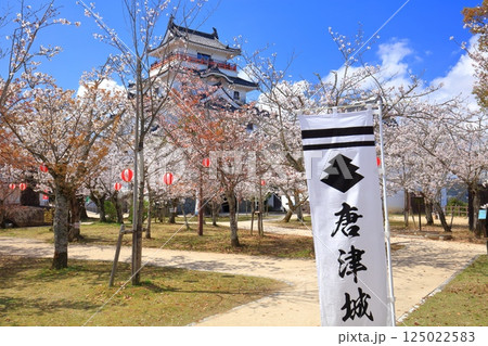 【佐賀県】晴天の唐津城天守閣と満開の桜 125022583