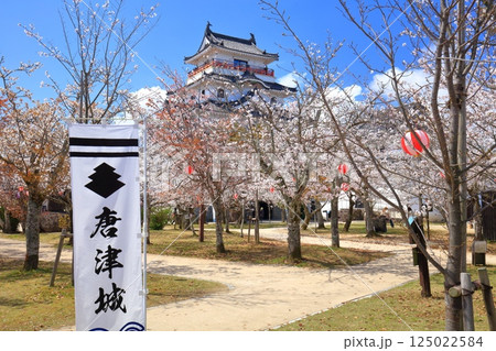 【佐賀県】晴天の唐津城天守閣と満開の桜 125022584