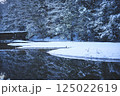 薄暮の湖と湖面に写る雪積もる木々 125022619
