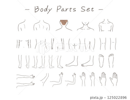 女性の身体の部位のイラストセット 女性の身体の部位のイラストセット 125022896