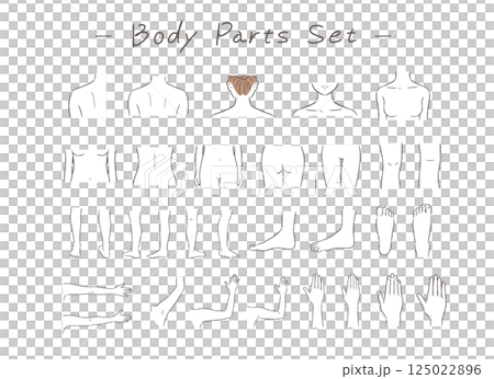 女性の身体の部位のイラストセット 女性の身体の部位のイラストセット 125022896