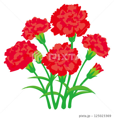 母の日の赤いカーネーションの花束のベクターイラスト 125023369