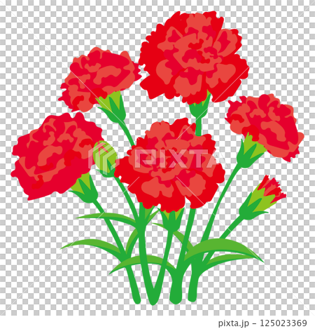 母の日の赤いカーネーションの花束のベクターイラスト 125023369
