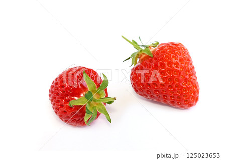 いちご（越後姫） 125023653