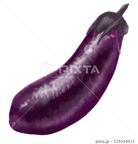 リアルな茄子1本のベクターイラスト 125024013