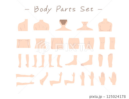 女性の身体の部位のイラストセット 125024178
