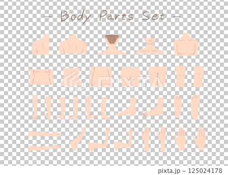 女性の身体の部位のイラストセット 125024178