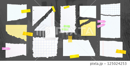 Ripped paper sheet fragments 125024253