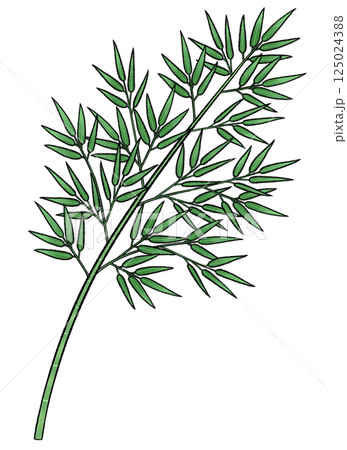笹のイラスト 125024388