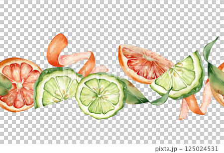 Grapefruits and bergamot, orange and green citrus on watercolor seamless border isolated background. Bright summer repeated texture hand drawn with segments red orange and lime fruits, swirl peel Grapefruits and bergamot, orange and green citrus on watercolor seamless border isolated background. Bright summer repeated texture hand drawn with segments red orange and lime fruits, swirl peel 125024531