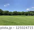 爽やかな夏の青空と公園風景 125024715