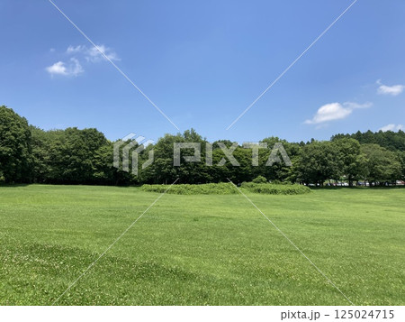 爽やかな夏の青空と公園風景 125024715