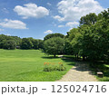 緑豊かな公園の小道 125024716