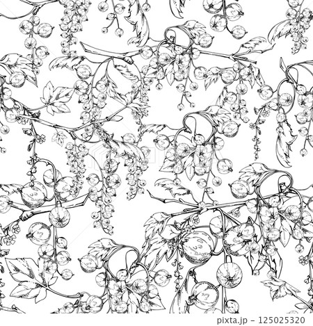 Currant gooseberry with green leaves, long flower clusters, garden berry hanging on branches. Isolated seamless pattern hand drawn in vector ink. Craft drinks, grocery, background wallpaper, packaging 125025320