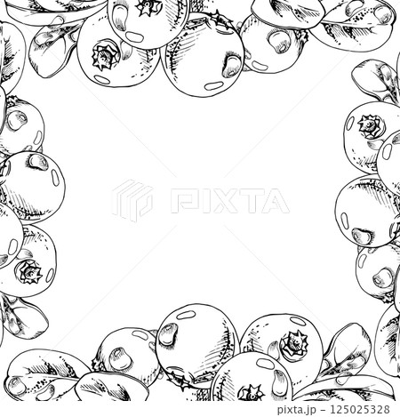 Cranberry lingonberry with green leaves, water dew drops, vector hand drawn in ink, ripe forest berry bearberry teaberry wintergreen. Isolated square corner frame. Dessert cafe menu, farmers market 125025328