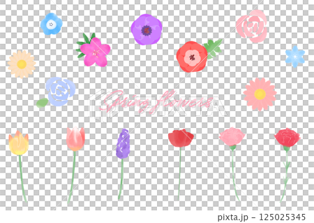 Watercolor floral illustration set: Spring plants 125025345