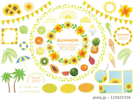 夏のグラフィックエレメントセット 125025356
