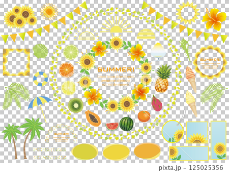 夏のグラフィックエレメントセット 125025356