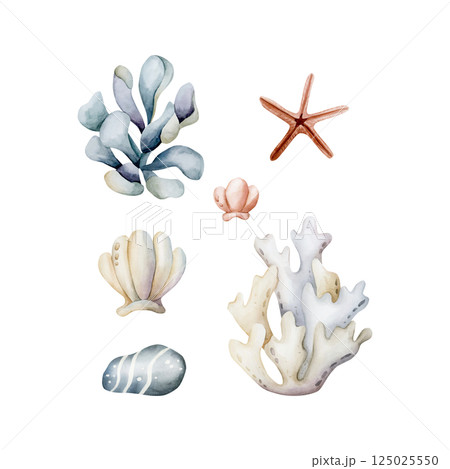 Seaweed Algae Sea Coral Sponge Starfish Shell Pebble. Cute ocean underwater plants and animals set. Watercolor hand painted illustration isolated on white background kids nursery undersea baby shower 125025550