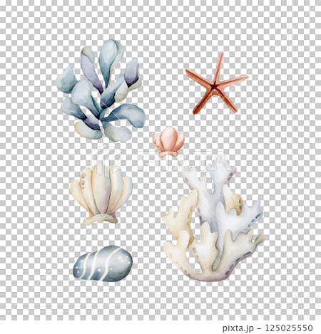 Seaweed Algae Sea Coral Sponge Starfish Shell Pebble. Cute ocean underwater plants and animals set. Watercolor hand painted illustration isolated on white background kids nursery undersea baby shower 125025550