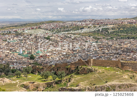 High angle view of the Qarawiyyin Mosque and Al-Qarawiyyin University. Fes. Morocco. High angle view of the Qarawiyyin Mosque and Al-Qarawiyyin University. Fes. Morocco. 125025608