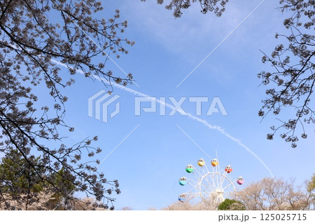 青空に浮かぶ飛行機雲 125025715