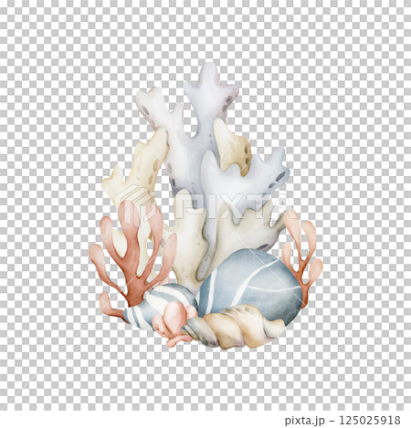 Seaweed Algae Sea Shell Coral Sponge Pebbles. Cute marine underwater ocean plants and animals. Watercolor hand painted isolated illustration for kids nursery wall sticker baby shower undersea design 125025918