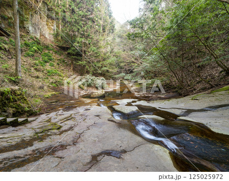 龍鎮神社の「龍鎮の滝」 龍鎮神社の「龍鎮の滝」 125025972