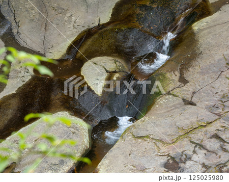 龍鎮神社の「龍鎮の滝」 龍鎮神社の「龍鎮の滝」 125025980