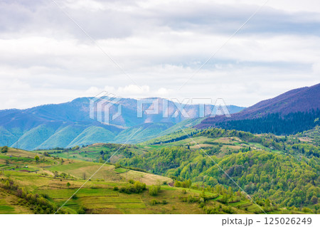mountainous rural landscape in spring. alps ukraine. trees and agricultural fields on hills rolling in to the distant valley. ridge beneath a overcast sky in dappled light. countryside environment mountainous rural landscape in spring. alps ukraine. trees and agricultural fields on hills rolling in to the distant valley. ridge beneath a overcast sky in dappled light. countryside environment 125026249