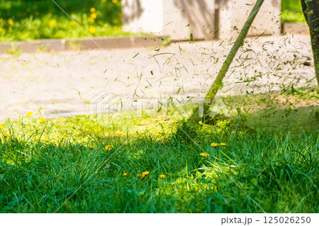 grass cutting in the park with trimmer. sunny outdoor background. lawn care nature concept. natural environment for lush weed 125026250
